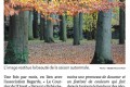 La photo du mois d'octobre 2020